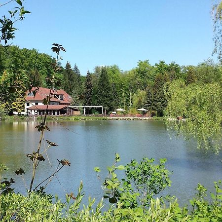 Waldhotel Zur Holzmuhle Eldagsen Dış mekan fotoğraf