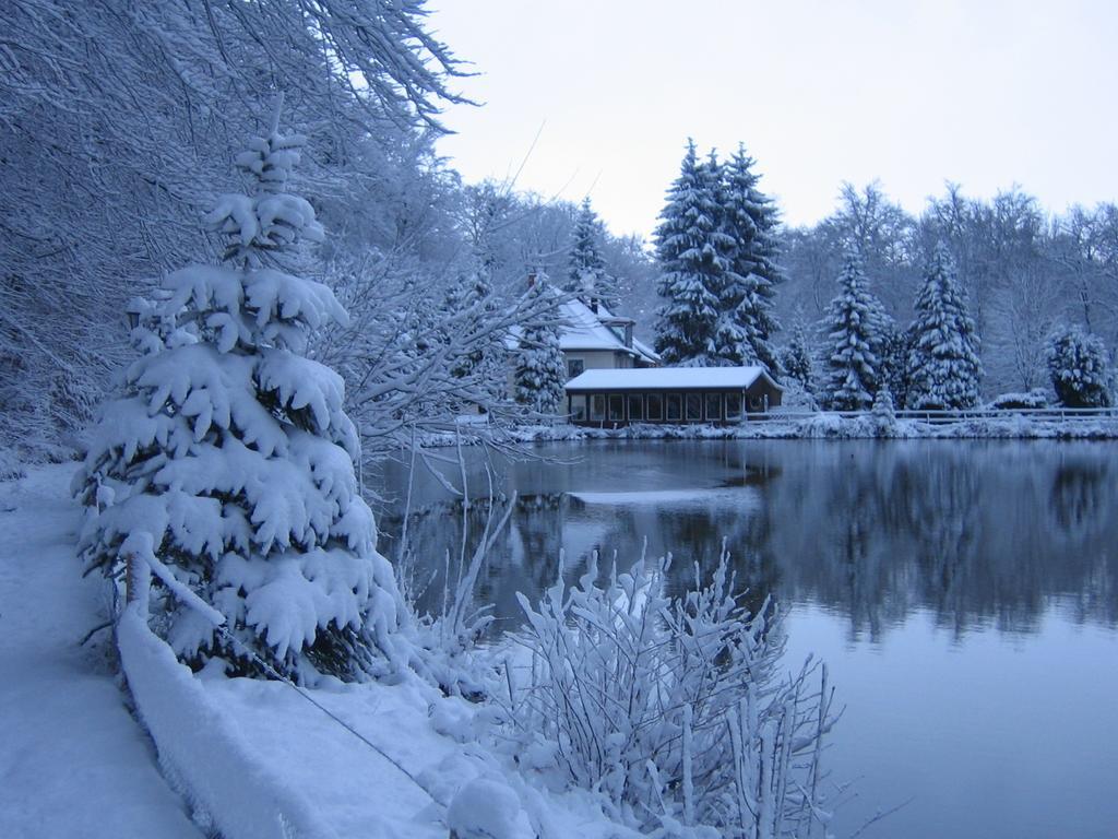 Waldhotel Zur Holzmuhle Eldagsen Dış mekan fotoğraf