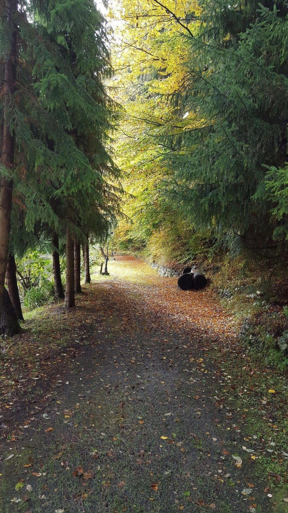 Waldhotel Zur Holzmuhle Eldagsen Dış mekan fotoğraf